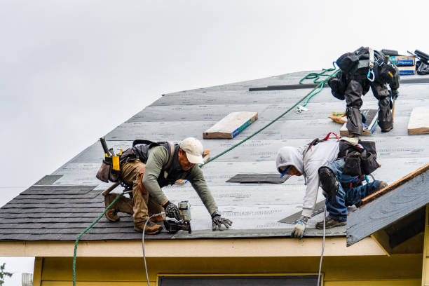 Professional Gutter Installation technician working in De Graff, OH